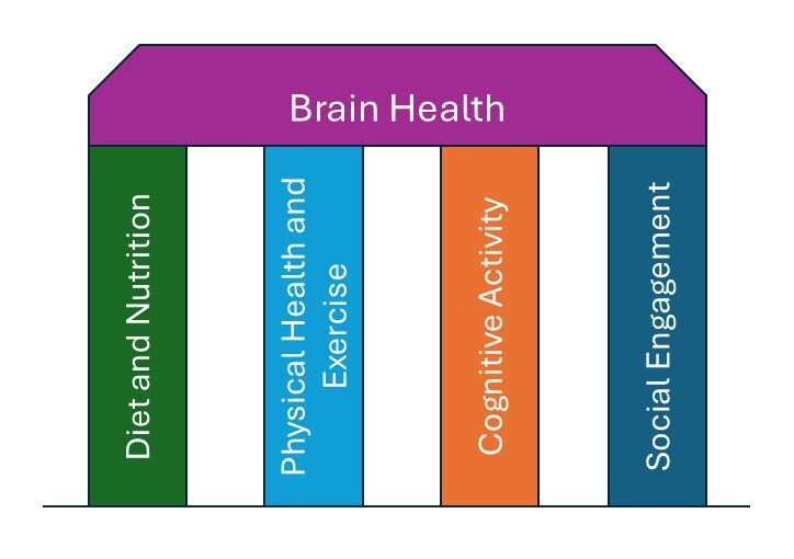 Brain Health: Diet and Nutrition, Physical Health and Exercise, Cognitive Activity, Social Engagement