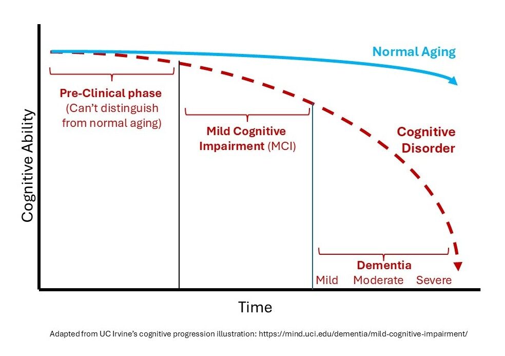 Phases of cognitive decline over time graph