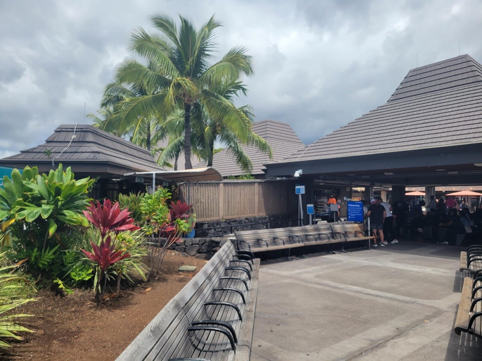 Kona airport Waiting Area: Palm Trees and Tropical Plans and People Waiting to be Boarded